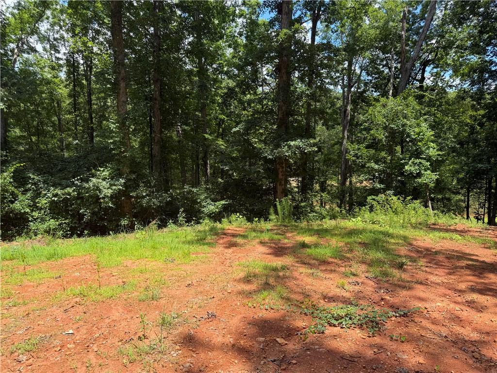 Image 3: A spacious lot bordered by verdant trees, ready fo