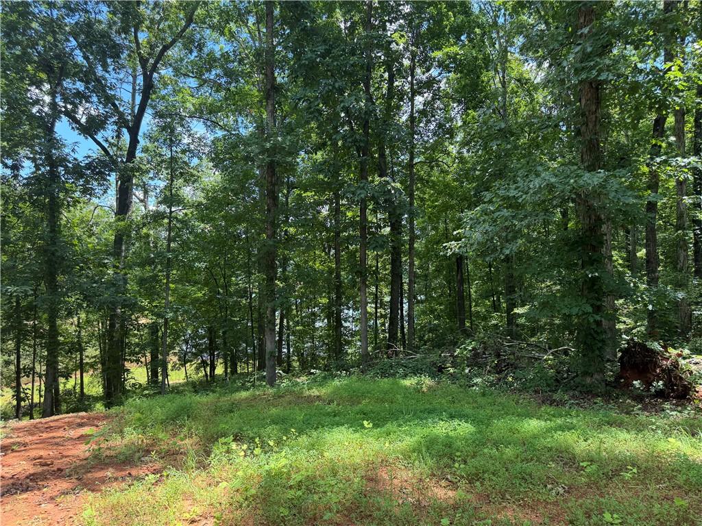 Image 4: Mature trees and lush greenery offer a serene and