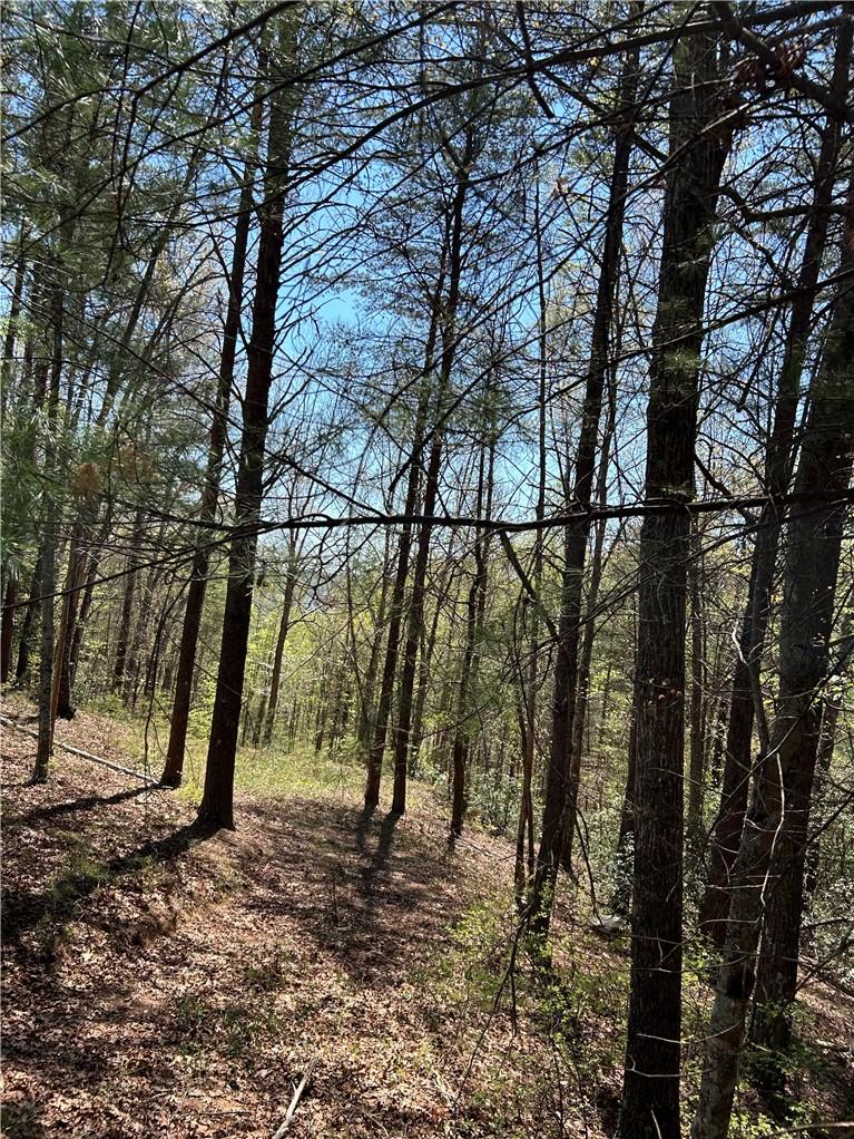 Image 2: Gentle Sloped lot with seasonal water views.