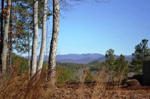 Lot 45 Cliffs Vista Parkway