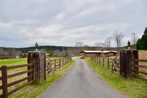 3626 Walhalla Highway