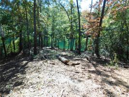 Lot 22 Old Chapman Bridge Road