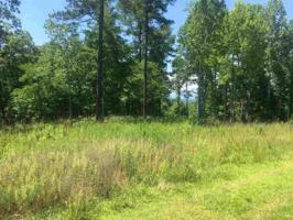 619 Cliffs Vista Parkway