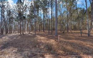 0 Nylah Lane Lot E6