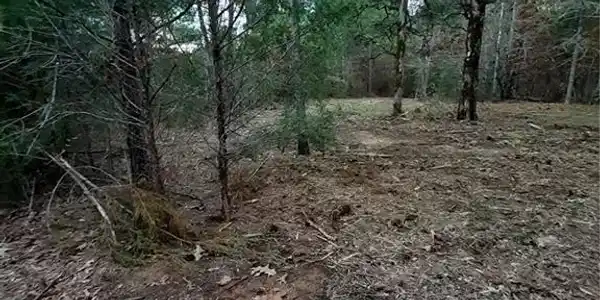 Lot F Terrapin Pointe Road