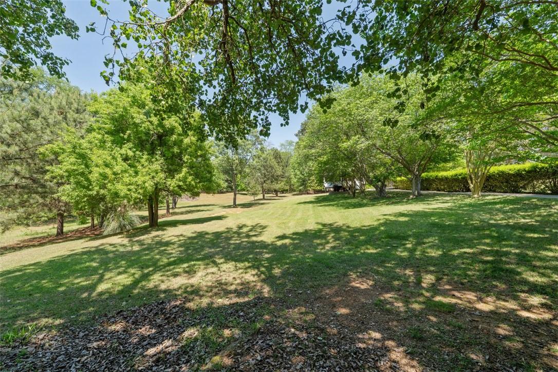 Image 2: Expansive green yard with mature trees offers a se