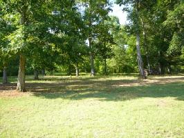 49 Vineyard Dr