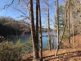303 Bear Creek Valley Road