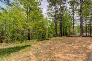 248 Piney Woods Trail
