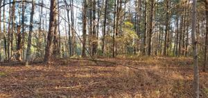 120 Sweetshrub Way