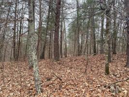 Lot 38 Ginseng Drive