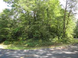 Lot 26 Turtlehead at Keowee
