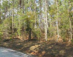 1.52 Acres Deer Trak