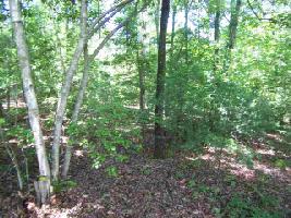 305 Knox Creek Road