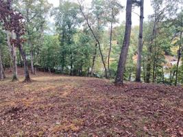 0 Old Mill Road Lot 10 acres