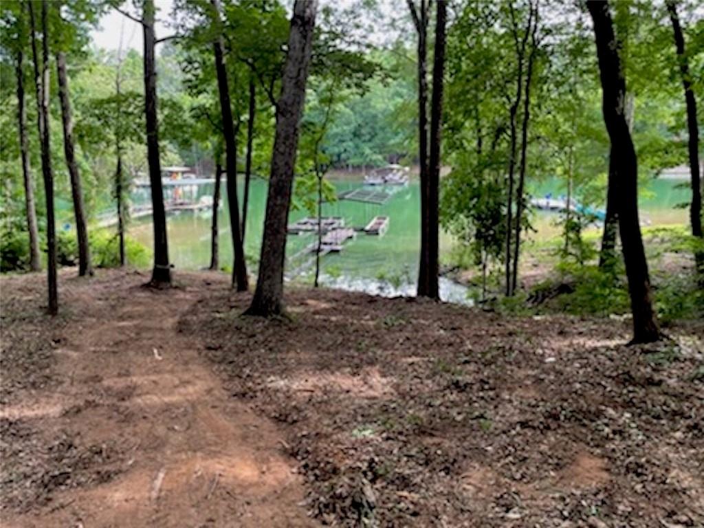 130 Rochester Road, Townville, SC lhrmls01424440