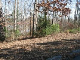 00 Holly Circle Lot 12