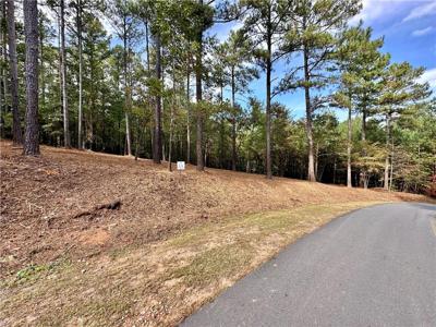 311 Golden Bear Drive