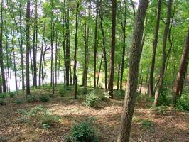 Lot 62 Peninsula Pointe South