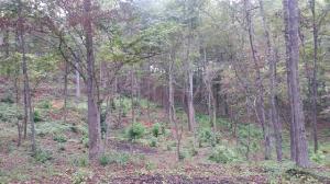 Lot 64 Aqua Vista Drive