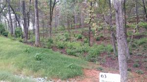 Lot 63 Hardwood Point Drive