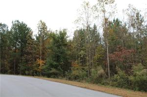 00 Peninsula Pines Drive Lot 85