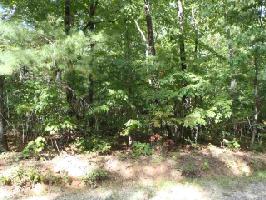 Lot 12 N Dellwood