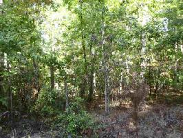 Lot 14 N Dellwood