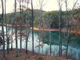 244 Piney Woods Trl