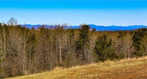 00 Hidden Falls Drive Lot 7