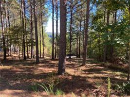 333 Knollwood Drive