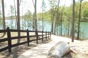 lot 74 Little Bay Lane