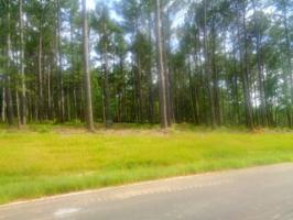 00 View West Drive Lot 27