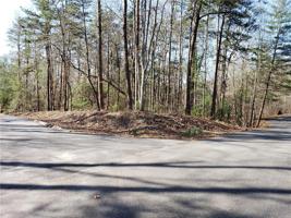 00 Turtlehead Drive Lot 36