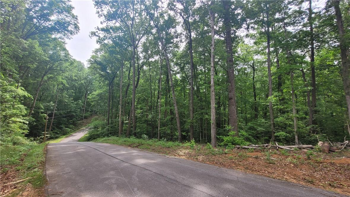 Image 2: A secluded paved road meanders through a dense for