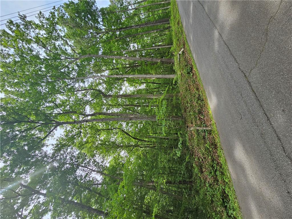 Image 3: Mature trees line the paved road, creating a priva
