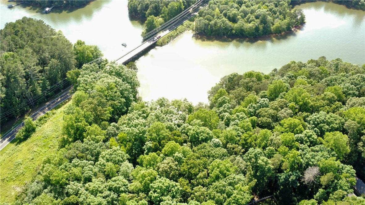 Image 2: Vast, verdant woodlands merge with tranquil lakefr