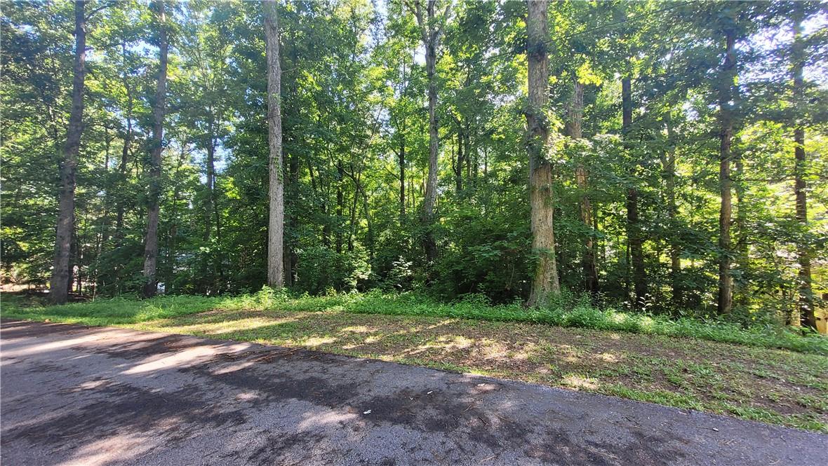 Image 3: Mature trees line the property, creating a natural
