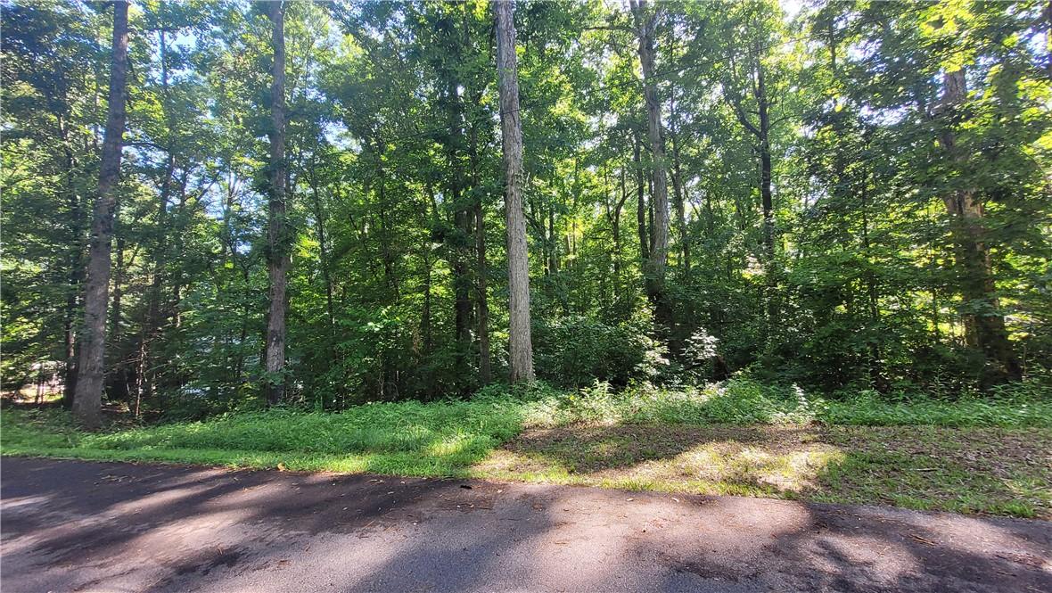 Image 4: Mature trees delineate this prime residential lot,