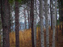 Lot 17 Scenic Crest Way