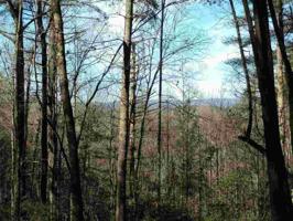 138 Eastatoe Parkway