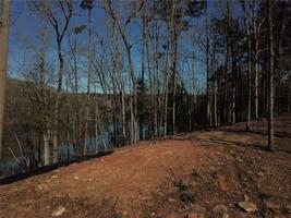 Lot 50 Clear Pointe Trail