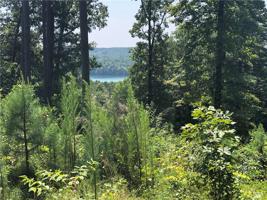 AR54 Timberbluff Way
