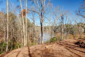 000 Warriors Creek Drive Lot 10