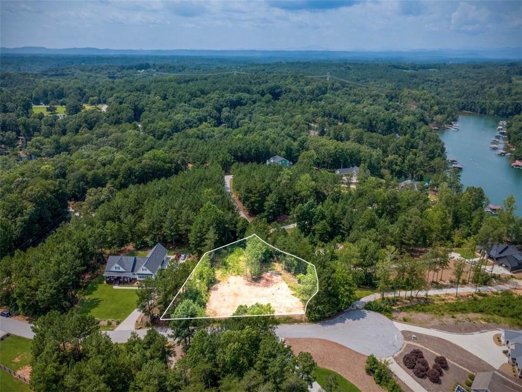 Image 2: A spacious lot awaits your vision, nestled amongst