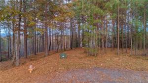 Lot 15 Button Wood Court