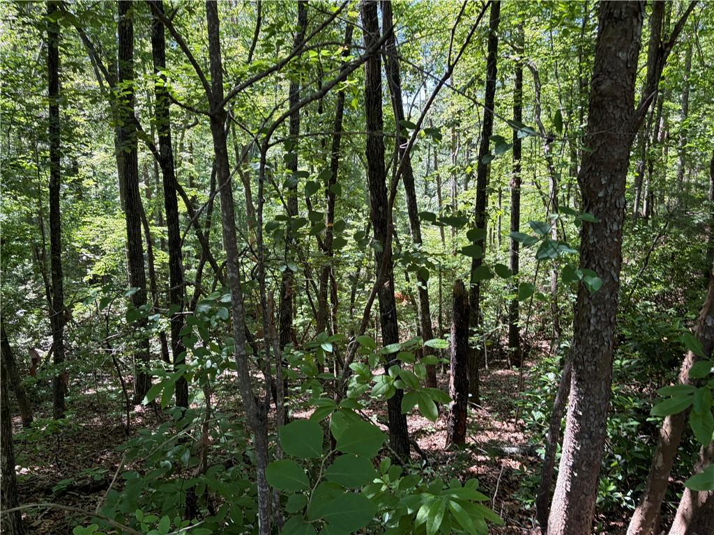 Image 2: A tranquil, tree-filled lot offers a private, natu