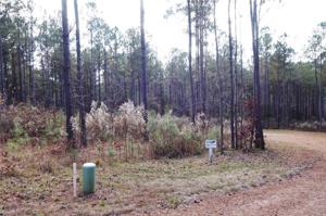 Lot 145 Keowee Pass Trail