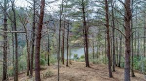 126 Club Cove Way