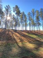 00 Little Keowee Boulevard Lot 1 & 11